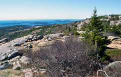 SW-A-MOUNTAIN-CALLED-CADILLAC