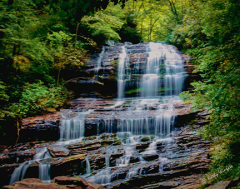 K-Wingate-Pearson-Falls-Tryon-NC