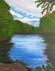 WP-Saluda-Shoal-River