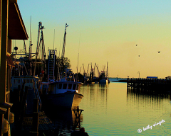 K-Wingate Shem-Creek-Scene
