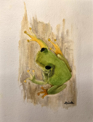 frog_1