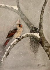 redbirdlight_web