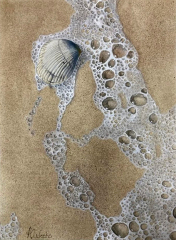 watercolor-seashell-SCWS-2025