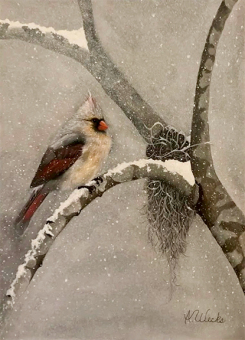 redbirdlight_web redbirdlight_web