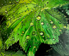 DR-Serenity_16X20_web DR-Serenity_16X20_web