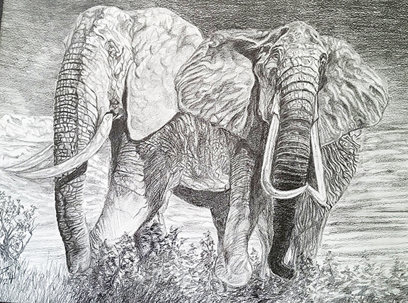 LDS-Elephants-lores