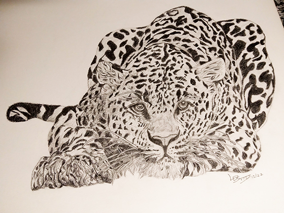 LDS-Leopard-lores