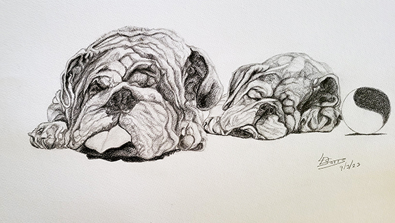 LDS-Sleepng-Dogs
