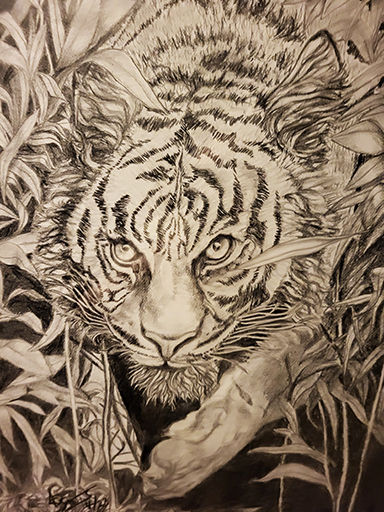 LDS-Tiger-lores