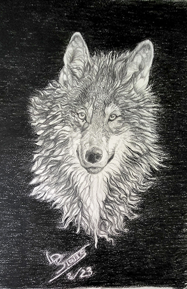 LDS-Wolf-lores